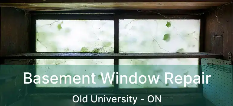  Basement Window Repair Old University - ON