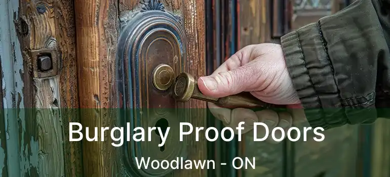  Burglary Proof Doors Woodlawn - ON