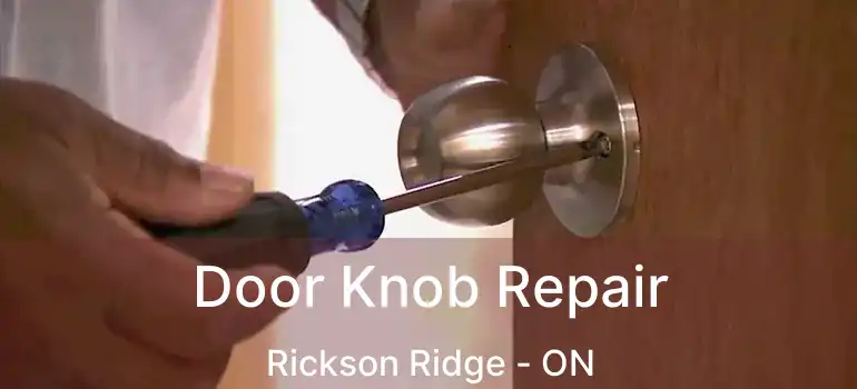  Door Knob Repair Rickson Ridge - ON