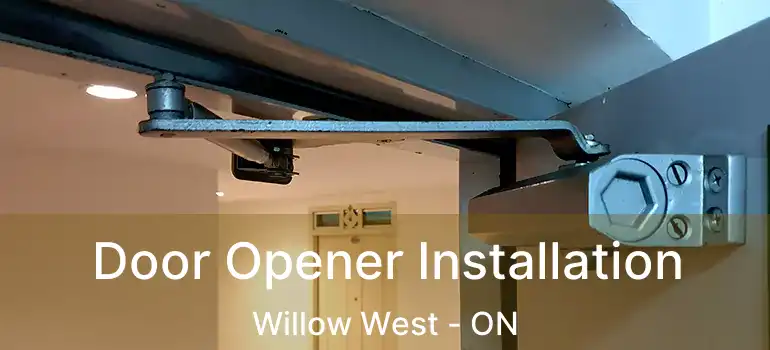  Door Opener Installation Willow West - ON