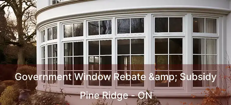 Government Window Rebate & Subsidy Pine Ridge - ON