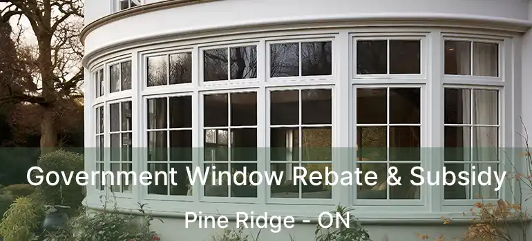  Government Window Rebate & Subsidy Pine Ridge - ON