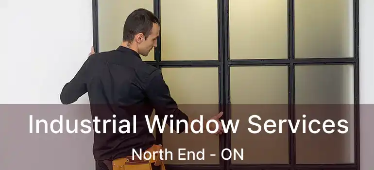  Industrial Window Services North End - ON