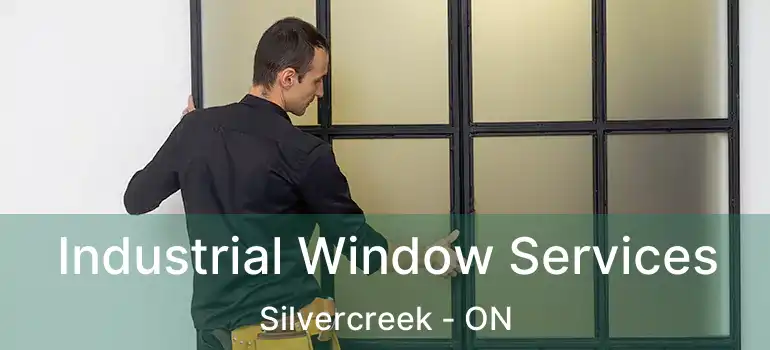  Industrial Window Services Silvercreek - ON