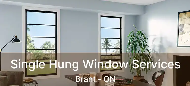  Single Hung Window Services Brant - ON