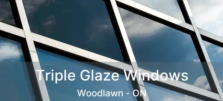  Triple Glaze Windows Woodlawn - ON