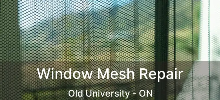  Window Mesh Repair Old University - ON