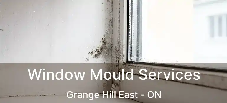  Window Mould Services Grange Hill East - ON
