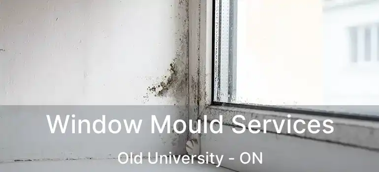  Window Mould Services Old University - ON