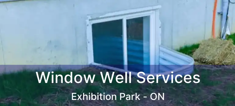  Window Well Services Exhibition Park - ON