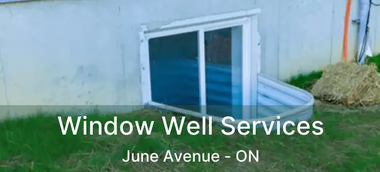  Window Well Services June Avenue - ON